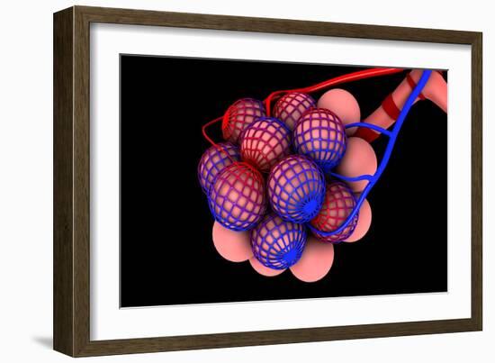 Conceptual Image of Alveoli-null-Framed Premium Giclee Print