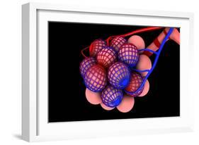 Conceptual Image of Alveoli-null-Framed Premium Giclee Print