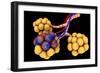 Conceptual Image of Alveoli-null-Framed Premium Giclee Print