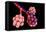 Conceptual Image of Alveoli-null-Framed Stretched Canvas