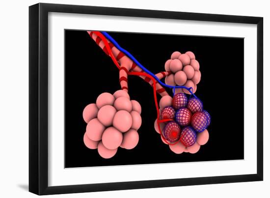 Conceptual Image of Alveoli-null-Framed Art Print