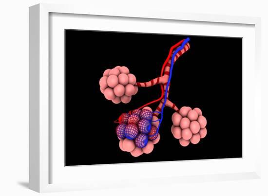 Conceptual Image of Alveoli-null-Framed Art Print