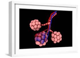 Conceptual Image of Alveoli-null-Framed Art Print