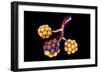 Conceptual Image of Alveoli-null-Framed Art Print