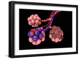 Conceptual Image of Alveoli-null-Framed Premium Giclee Print