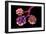 Conceptual Image of Alveoli-null-Framed Premium Giclee Print