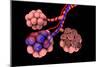 Conceptual Image of Alveoli-null-Mounted Premium Giclee Print