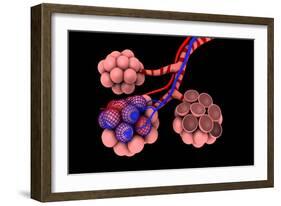 Conceptual Image of Alveoli-null-Framed Art Print