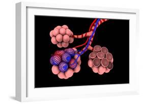 Conceptual Image of Alveoli-null-Framed Art Print