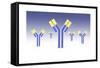 Conceptual Image of an Antibody-null-Framed Stretched Canvas