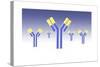 Conceptual Image of an Antibody-null-Stretched Canvas