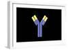 Conceptual Image of an Antibody-null-Framed Art Print