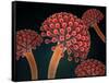 Conceptual image of Aspergillosis disease.-Stocktrek Images-Framed Stretched Canvas