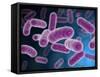 Conceptual Image of Bacteria-Stocktrek Images-Framed Stretched Canvas