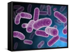 Conceptual Image of Bacteria-Stocktrek Images-Framed Stretched Canvas