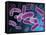 Conceptual Image of Bacteria-Stocktrek Images-Framed Stretched Canvas