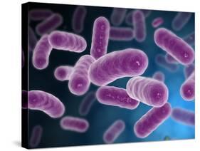 Conceptual Image of Bacteria-Stocktrek Images-Stretched Canvas