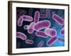 Conceptual Image of Bacteria-Stocktrek Images-Framed Photographic Print