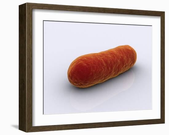 Conceptual Image of Bacteria-null-Framed Art Print