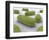 Conceptual Image of Bacteria-null-Framed Art Print