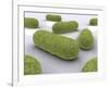 Conceptual Image of Bacteria-null-Framed Art Print