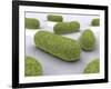 Conceptual Image of Bacteria-null-Framed Art Print