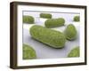 Conceptual Image of Bacteria-null-Framed Art Print