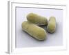 Conceptual Image of Bacteria-null-Framed Art Print