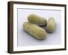 Conceptual Image of Bacteria-null-Framed Art Print