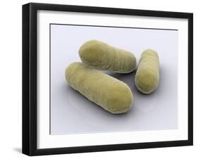 Conceptual Image of Bacteria-null-Framed Art Print