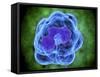 Conceptual Image of Basophils-null-Framed Stretched Canvas