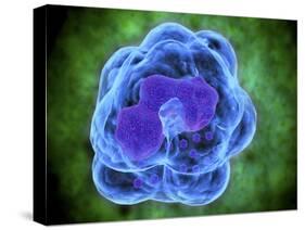 Conceptual Image of Basophils-null-Stretched Canvas