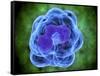 Conceptual Image of Basophils-null-Framed Stretched Canvas