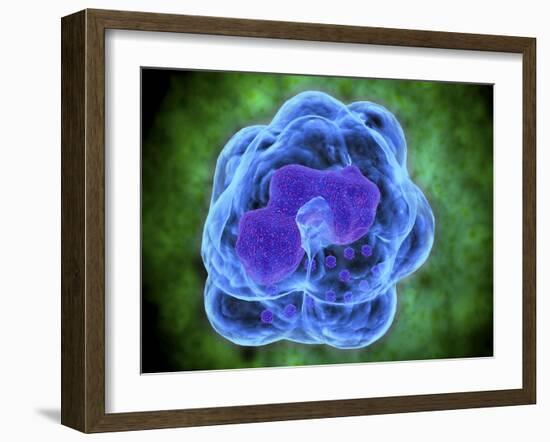 Conceptual Image of Basophils-null-Framed Art Print