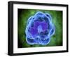 Conceptual Image of Basophils-null-Framed Art Print