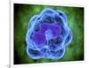 Conceptual Image of Basophils-null-Framed Art Print