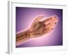 Conceptual Image of Bones in Human Hand-null-Framed Art Print