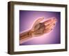 Conceptual Image of Bones in Human Hand-null-Framed Art Print
