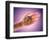 Conceptual Image of Bones in Human Hand-null-Framed Art Print