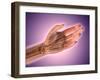 Conceptual Image of Bones in Human Hand-null-Framed Art Print