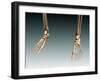 Conceptual Image of Bones in Human Legs and Feet-null-Framed Art Print