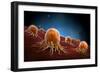 Conceptual Image of Cancer Virus-null-Framed Art Print