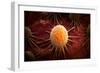 Conceptual Image of Cancer Virus-null-Framed Art Print