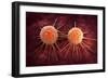 Conceptual Image of Cancer Virus-null-Framed Art Print