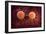 Conceptual Image of Cancer Virus-null-Framed Art Print