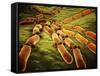 Conceptual Image of Candida Albicans-null-Framed Stretched Canvas