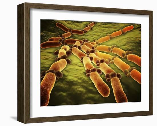 Conceptual Image of Candida Albicans-null-Framed Art Print