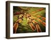Conceptual Image of Candida Albicans-null-Framed Art Print