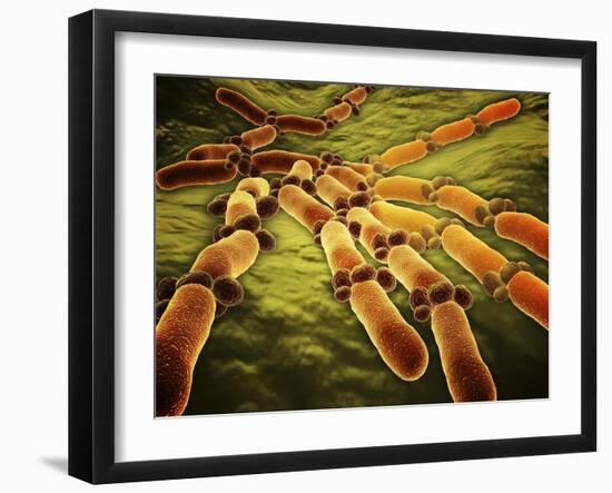 Conceptual Image of Candida Albicans-null-Framed Art Print