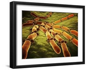 Conceptual Image of Candida Albicans-null-Framed Art Print